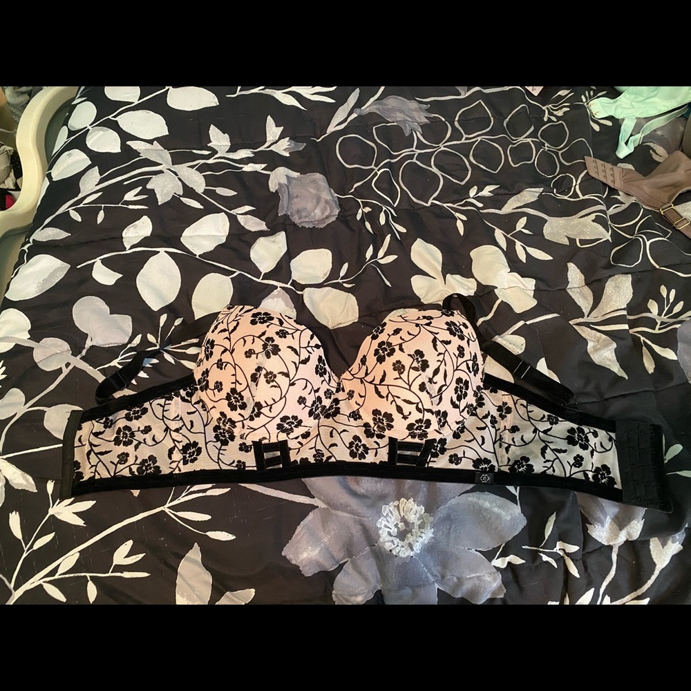 nanette lepore bra